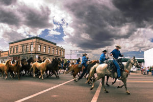 Three Forks, Montana horse roundup through town