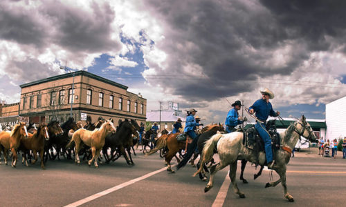 Three Forks, Montana horse roundup through town
