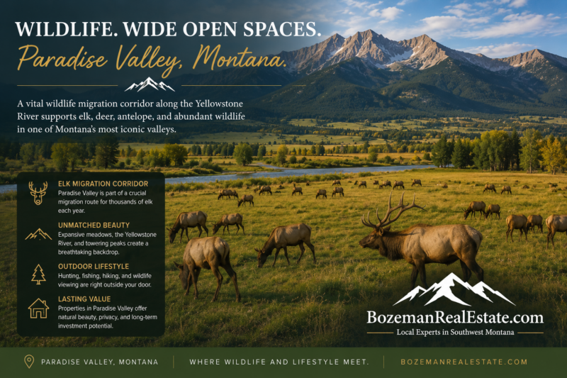 Paradise Valley real estate with a herd of elk grazing near the Yellowstone River, surrounded by open ranch land and dramatic Montana mountain peaks.
